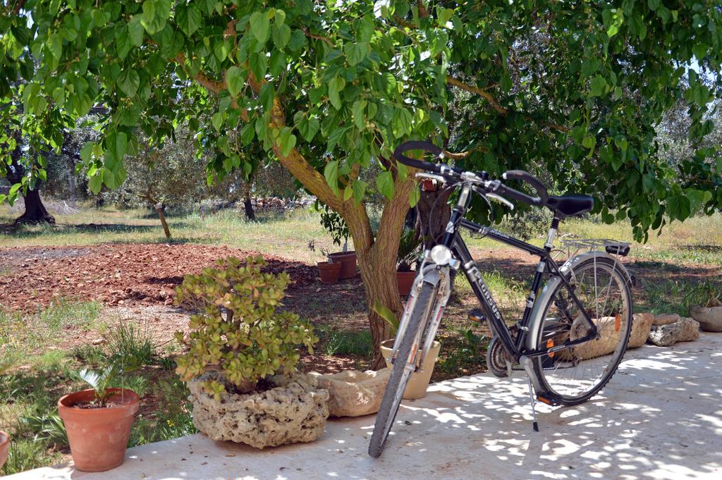 Agriturismo Tenuta Del Morige غالاتوني المظهر الخارجي الصورة