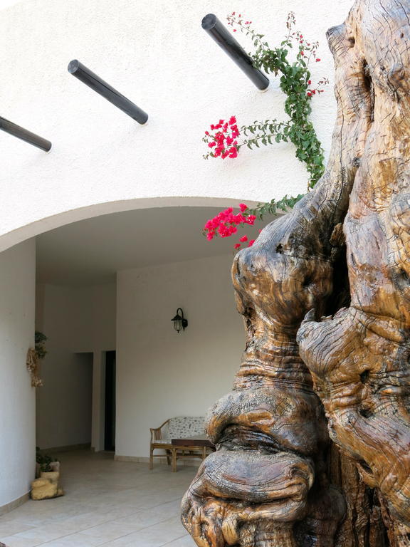 Agriturismo Tenuta Del Morige غالاتوني الغرفة الصورة